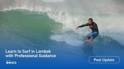 mr dee surf lesson artikel