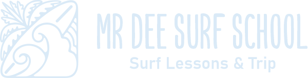 mr dee surf lesson l